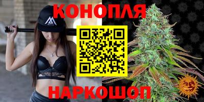 индика Будённовск