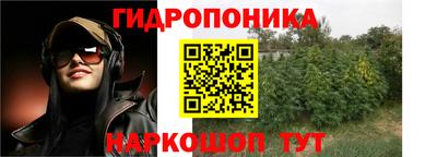 индика Будённовск