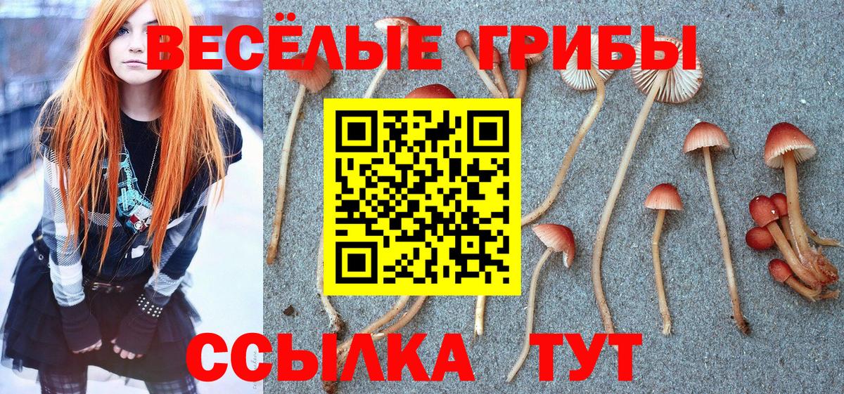Псилоцибиновые грибы Magic Shrooms  Вход с VPN  Моздок 